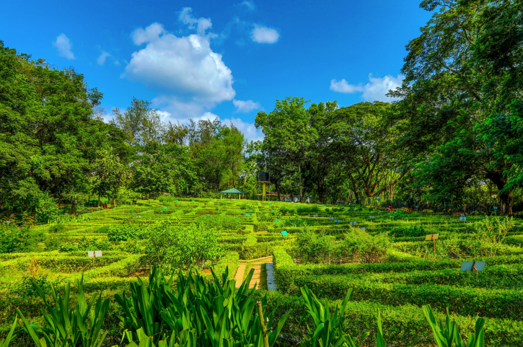 Aushidi Van Silvassa Dadra and Nagar Haveli