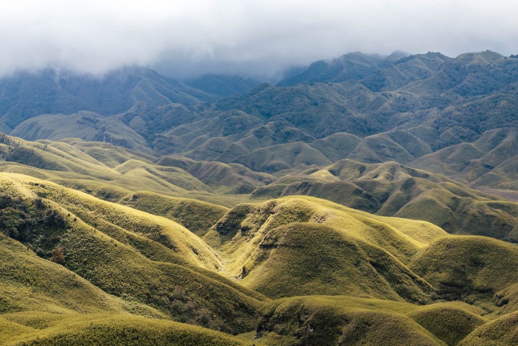 Dzukou Valley Manipur