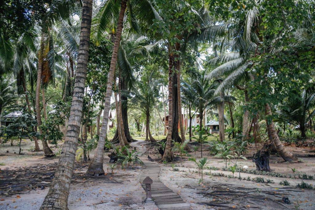 Neil Island, Andaman and Nicobar Islands